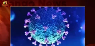 India Records 214 Corona Positive Cases Active Cases across the Country Stands at 2509, India Records Active Cases across the Country Stands at 2509, India Records 214 Corona Positive Cases, 214 Corona Positive Cases, India Corona Positive Cases, Corona Positive Cases, India Covid-19, 214 new Covid-19 cases In India, India Covid-19 Updates, India Covid-19 Live Updates, India Covid-19 Latest Updates, Coronavirus, Coronavirus Breaking News, Coronavirus Latest News, COVID-19, India Coronavirus, India Coronavirus Cases, India Coronavirus Deaths, India Coronavirus New Cases, India Coronavirus News, India New Positive Cases, Coronavirus, COVID-19, Covid-19 Updates in India, Mango News, Mango News Telugu