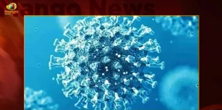 125 Fresh Covid-19 Positive Cases 110 Recoveries Reported in India in the Last 24 Hours,125 Fresh Covid-19 Positive Cases, 110 Covid Recoveries,Reported in India in the Last 24 Hours,Mango News,Mango News Telugu,Covid Last 24 Hours, 294 People Tested Positive,Coronavirus In India,Mango News,Mango News Telugu,Covid In India,Covid,Covid-19 India,Covid-19 Latest News And Updates,Covid-19 Updates,Covid India,India Covid,Covid News And Live Updates,Carona News,Carona Updates,Carona Updates,Cowaxin,Covid Vaccine,Covid Vaccine Updates And News,Covid Live Updates
