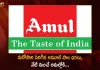 Amul Hikes Milk Prices of All Variants From 3rd Feb,Mango News, Mango News Telugu,Amul hikes milk price , Amul Milk Prices, Amul Milk Latest Prices, Amul Milk, Amul Hikes Milk Prices of All Variants, Amul Milk Rates, Amul Raises Milk Prices, amul milk price hike history, amul milk price news, amul milk price 1 litre, amul toned milk price