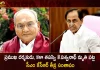 CM KCR Expressed Deep Condolences at the Demise of Noted Film Director Kalatapasvi K Viswanath,CM KCR Expressed Condolences,Film Director Kalatapasvi K Viswanath,Kalatapasvi K Viswanath Demise,Mango News,Mango News Telugu,K Viswanath Movies,K Viswanath Young,K Viswanath Wikipedia,K. Viswanath Son,K Viswanath Last Movie,K Viswanath Age,K Viswanath Songs,K Viswanath Super Hit Movies,K Viswanath Best Movies,K Viswanath Movies Hits And Flops List,K Viswanath Family Photos,K Viswanath Kamal Hassan Movies,K Viswanath Chiranjeevi Movies,K Viswanath Young Photos,Director K Viswanath,Kamal Haasan And K Viswanath Movies,Kashi Vishwanath,Kavita Viswanath,Kashi Vishwanath Temple,Kasi Viswanath Director,Kavita Viswanath And Gavaskar,Kashi Vishwanath Images Hd,Kasinathuni Viswanath,Kashi Vishwanath Corridor