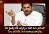 CM YS Jagan To Meet YSRCP MLAs And Key Leaders Today at Tadepalli Camp Office,CM YS Jagan To Meet YSRCP,YSRCP MLAs And Key Leaders,Tadepalli Camp Office,Mango News,Mango News Telugu,TDP chief Chandrababu Naidu,AP CM YS Jagan Mohan Reddy , YS Jagan News And Live Updates, YSR Congress Party, Andhra Pradesh News And Updates, AP Politics, Janasena Party, TDP Party, YSRCP, Political News And Latest Updates,Andhra Pradesh Politics,Andhra Pradesh Political News,Andhra Pradesh,Chandrababu Naidu News and Updates,YSR Congress Party