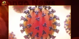India 169 New Corona Positive Cases 140 Recoveries Reported In Last 24 Hours,India New Corona Cases,169 New Covid Positive Cases,140 Covid Recoveries India,India Covid 19 Cases In 24 Hours, Mango News, Mango News Telugu,Worldometer Coronavirus India,All India Covid 19 Cases Today,All India Covid 19 Cases Today List,Average Covid Cases Per Day In India,Covid Cases In India In Last 24 Hours Today,Covid Cases In India In Last 48 Hours Today,Covid-19 Org India,Current India Covid 19 Cases,India Active Covid 19 Cases,India Covid 19 Cases,India Covid 19 Cases Delhi,India Covid 19 Cases News,India Covid 19 Cases Omicron,India Covid 19 Cases Today Live,India Covid 19 Cases Tracker,India Covid 19 Cases Update,India Covid 19 Cases Update Today,Indian Covid 19 Cases,Indiana Covid 19 Cases,Total Vaccination In India Till Today