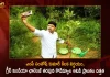 MP Santosh Kumar Announces Adoption of 1095 Acres of Kodimyal Reserve Forest as part of Green India Challenge,MP Santosh Kumar,Announces Adoption of 1095 Acres,Kodimyal Reserve Forest,Green India Challenge,Mango News,Mango News Telugu,Green India Challenge Wikipedia,Green India Challenge Founder,Green India Challenge Telangana,Green India Challenge Website,Green India Challenge Started By,Green India Challenge Anic,Green India Challenge Logo,Green India Challenge Twitter,Green India Challenge Santosh,Vijay Green India Challeng