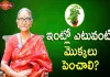 ఇంట్లో ఎటువంటి మొక్కలు పెంచాలి?,Best Plants to Grow at home,Indoor Plants,Dr Ananta Lakshmi,plants,importance of plants,tulasi,tulasi plant,important of tulasi plant,best plants for home,best plants,plants at home,home garden,outdoor plants,outdoor plants for home,curry leaves,curry leaves plant,significance of curry leaves plant,garden,best plants at home,unknown facts,home tips,best tips for home,ananta lakshmi videos