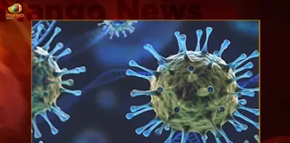 Corona in India 240 New Positive Cases Reported and Active Cases Stands at 2335,Corona in India,240 New Positive Corona Cases Reported,2335 Corona Active Cases in India,Mango News,Mango News Telugu,Worldometer Coronavirus India,All India Covid 19 Cases Today,All India Covid 19 Cases Today List,Average Covid Cases Per Day In India,Covid Cases In India In Last 24 Hours Today,Covid Cases In India In Last 48 Hours Today,Covid-19 Org India,Current India Covid 19 Cases,India Active Covid 19 Cases,India Covid 19 Cases,India Covid 19 Cases Delhi,India Covid 19 Cases News,India Covid 19 Cases Omicron,India Covid 19 Cases Today Live,India Covid 19 Cases Tracker,India Covid 19 Cases Update,India Covid 19 Cases Update Today,Indian Covid 19 Cases,Indiana Covid 19 Cases,Total Vaccination In India Till Today
