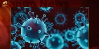 India: 754 New Corona Positive Cases 327 Recoveries Reported in the Last 24 Hours,754 New Covid Positive Cases,India 327 Corona Recoveries Reported,India Covid Last 24 Hours Report,Mango News,Mango News Telugu,Active Corona Cases,Corona Active Cases Exceeds 4000,Corona News, Corona Updates,Coronavirus In India,Coronavirus outbreak,COVID 19 India,COVID 19 Updates,Covid in India,Covid Last 24 Hours Record,Covid Last 24 Hours Report,Covid Live Updates,Covid News And Live Updates,Covid Vaccine,Covid Vaccine Updates And News,COVID-19 Latest News And Updates
