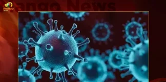 India Covid-19 Updates 283 New Positive Cases and Zero Deaths Reported in Last 24 Hours,India New Covid-19 Updates,283 New Covid 19 Positive Cases,Zero Covid Deaths Reported in Last 24 Hours,Last 24 Hours Covid Reports,Mango News,Mango News Telugu,Worldometer Coronavirus India,All India Covid 19 Cases Today,All India Covid 19 Cases Today List,Average Covid Cases Per Day In India,Covid Cases In India In Last 24 Hours Today,Covid Cases In India In Last 48 Hours Today,Covid-19 Org India,India Covid 19 Cases News