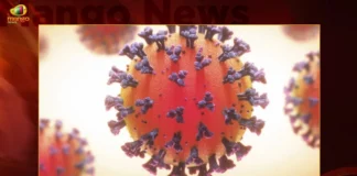 India Records 1590 New Covid-19 Positive Cases and Active Cases Tally Exceeds Again 8000,India New Covid-19 Cases,India Registers 1590 New Cases,India Active Cases Exceeds 8000,Mango News,Mango News Telugu,Coronavirus Cases In 24 Hours,Covid-19 in India,Information about COVID-19,India Covid Last 24 Hours Report,Active Corona Cases,Corona Active Cases Exceeds,Corona News,Corona Updates,Coronavirus In India,Coronavirus Outbreak,COVID 19 India,COVID 19 Updates,Covid in India,Covid Last 24 Hours Record,Covid Last 24 Hours Report,Covid Live Updates,Covid News And Live Updates,Covid Vaccine,Covid Vaccine Updates And News,COVID-19 Latest News And Updates