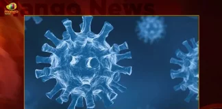 India Records 334 Fresh Corona Positive Cases Cumulative Vaccination Coverage Crosses 220.64 Cr Doses,334 Fresh Corona Positive Cases,Cumulative Vaccination Coverage,Vaccination Coverage Crosses 220.64 Cr Doses,Mango News,Mango News Telugu,India New Covid-19 Updates,Last 24 Hours Covid Reports,Worldometer Coronavirus India,All India Covid 19 Cases Today,All India Covid 19 Cases Today List,Average Covid Cases Per Day In India,Covid Cases In India In Last 24 Hours Today,Covid Cases In India In Last 48 Hours Today,Covid-19 Org India,India Covid 19 Cases News