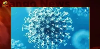 India Records 918 Fresh Corona Positive Cases and Vaccination Coverage Exceeds 220.65 Cr-Doses,India Records 918 Fresh Corona Positive Cases,Vaccination Coverage Exceeds,Vaccination Coverage 220.65 Cr-Doses,Mango News,Mango News Telugu,Covid-19 in India,Information about COVID-19,India Covid Last 24 Hours Report,Active Corona Cases,Corona Active Cases Exceeds,Corona News, Corona Updates,Coronavirus In India,Coronavirus outbreak,COVID 19 India,COVID 19 Updates,Covid in India,Covid Last 24 Hours Record,Covid Last 24 Hours Report,Covid Live Updates,Covid News And Live Updates,Covid Vaccine,Covid Vaccine Updates And News,COVID-19 Latest News And Updates