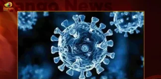 India Reports 843 New Corona Positive Cases 476 Recoveries in Last 24 Hours,India Corona Reports,843 New Corona Positive Cases,Corona 476 Recoveries in Last 24 Hours,Covid-19 in India,Mango News,Mango News Telugu,Information about COVID-19,India Covid Last 24 Hours Report,Active Corona Cases,Corona Active Cases Exceeds 5026,Corona News, Corona Updates,Coronavirus In India,Coronavirus outbreak,COVID 19 India,COVID 19 Updates,Covid in India,Covid Last 24 Hours Record,Covid Last 24 Hours Report,Covid Live Updates,Covid News And Live Updates,Covid Vaccine,Covid Vaccine Updates And News,COVID-19 Latest News And Updates