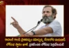 Lok Sabha Secretariat Declared Wayanad Seat Vacant After Rahul Gandhis Disqualification,Lok Sabha Secretariat Declared Wayanad Seat Vacant,Rahul Gandhis Disqualification,Seat Vacant After Rahul Gandhis Disqualification,Mango News,Mango News Telugu,Wayanad Lok Sabha Seat Declared Vacant,Wayanad Parliamentary Seat Declared Vacant,Wayanad Lok Sabha Seat,Wayanad Constituency In Kerala,Rahul Gandhis Disqualification Latest News,Rahul Gandhis Disqualification Latest Updates,Wayanad Lok Sabha Seat Latest News