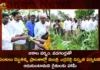 Minister Errabelli Dayakar Rao Extensive Tour In Affected Areas by Untimely Rain and Hail,Minister Errabelli Dayakar Rao,Errabelli Tour In Affected Areas,Errabelli Dayakar Tour on Untimely Rain and Hail Areas,Mango News,Mango News Telugu,Minister Errabelli Dayakar Rao Inspects Rain Damage,Minister Errabelli Dayakar Latest News,Minister Errabelli Dayakar Latest Updates,Minister Errabelli Dayakar Live News,Telangana Latest News,Telangana Rainfall Latest Updates