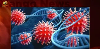 Corona Updates India Reports 7633 New Covid-19 Infections in Last 24 Hrs Active Cases Surge To 61233,Corona Updates,India Reports 7633 New Covid-19 Infections,Covid-19 Infections in Last 24 Hrs,Covid-19 Active Cases Surge To 61233,Mango News,Mango News Telugu,Covid News Live Updates,Coronavirus in India Live Updates,India Records 10753 Fresh Covid Cases,Indias Active COVID-19 Cases Exceed,Corona India,Information About COVID-19,India Covid Last 24 Hours Report,Active Corona Cases,Corona Active Cases Exceeds,MoHFW,India Fights Corona,Coronavirus Statistics