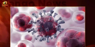 India Reports Over 11000 New Covid-19 Positives in Last 24 Hrs Active Cases Load Nearly To 50000 Mark,India Reports Over 11000 New Covid-19 Positives,Covid-19 Positives in Last 24 Hrs,Covid-19 Active Cases Load Nearly To 50000 Mark,Mango News,Mango News Telugu,MoHFW,Coronavirus India Latest News,Covid-19 news live updates,Massive Jump in Covid-19 Tally,Coronavirus India Latest News,India Records Highest Single-day Tally,Coronavirus Latest News,India Coronavirus Map and Case Count,India Coronavirus Statistics,Official Updates Coronavirus,Information about COVID-19,India Covid Last 24 Hours Report,Active Corona Cases,Corona Active Cases Exceeds,India Fights Corona