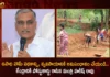 Minister Harish Rao Wrote Post Card To Centre Over Mahatma Gandhi NREGA Scheme in The Part of Post Card Movement,Minister Harish Rao Wrote Post Card To Centre,Harish Rao Over Mahatma Gandhi NREGA Scheme,Minister Harish Rao in The Part of Post Card Movement,Mango News,Mango News Telugu,Mahatma Gandhi NREGA Scheme,Mahatma Gandhi NREGA Scheme Latest News,Mahatma Gandhi NREGA Scheme Latest Updates,Minister Harish Rao Latest News,Minister Harish Rao Live News and Updates,NREGA Scheme News Today