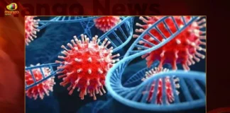Corona Updates India Reports 1331 New Covid-19 Infections in Last 24 Hrs Active Cases Dip To 22742,Corona Updates,India Reports 1331 New Covid 19 Infections,Covid 19 Infections in Last 24 Hrs,Corona Active Cases Dip To 22742,Mango News,Mango News Telugu,Covid-19,Coronavirus,Corona Updates India,Corona Updates,Covid-19 Updates,Covid-19 Latest News,Coronavirus Live Updates,Corona,India Covid-19,India COVID,Coronavirus Outbreak in India,India Coronavirus,COVID-19 in India,India Covid-19 Cases,India Coronavirus Cases,India Covid-19 New Cases,India Coronavirus New Cases