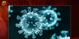 India Corona Updates Union Health Ministry Reports 405 New Infections and 7104 Active Cases in Last 24 Hrs,India Corona Updates,Union Health Ministry Reports 405 New Infections,India Corona New Infections,India 7104 Active Cases in Last 24 Hrs,India Corona Active Cases,Corona Active Cases in Last 24 Hrs,Mango News,Mango News Telugu,Corona,Corona Cases,Corona cases 2023,Corona cases in India today,Corona cases in india today live updates,Corona new updates in India,Corona updates in India 2023,Coronavirus Latest News,Coronavirus outbreak,Coronavirus Update in India