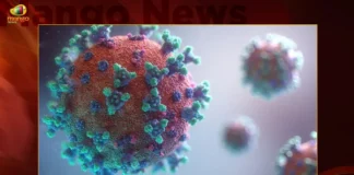 India Corona Updates Union Health Ministry Reports 532 New Infections and 6168 Active Cases in Last 24 Hrs,India Corona Updates,Union Health Ministry Reports 532 New Infections,6168 Active Cases in Last 24 Hrs,Corona Active Cases in Last 24 Hrs,Mango News,Mango News Telugu,Corona, Corona Cases, Corona cases 2023, Corona cases in India today, Corona cases in india today live updates, Corona new updates in India, Corona updates in India 2023, Coronavirus Latest News, Coronavirus outbreak, Coronavirus Update in India