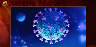 India Corona Updates Union Health Ministry Reports 550 New Infections and 6591 Active Cases in Last 24 Hrs,India Corona Updates,Union Health Ministry Reports 550 New Infections,India 6591 Active Cases in Last 24 Hrs,Mango News,Mango News Telugu,Corona,Corona Active Cases in Last 24 Hrs,Corona Cases,Corona cases 2023,Corona cases in India today,Corona cases in india today live updates,Corona new updates in India,Corona updates in India 2023,Coronavirus Latest News,Coronavirus outbreak,Union Health Ministry Latest News,Union Health Ministry Latest Updates