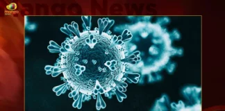 India Corona Updates Union Health Ministry Reports 656 New Infections and 13037 Active Cases in Last 24 Hrs,Coronavirus,Covid-19 Updates,Corona Updates,India Reports 656 New Covid 19 Infections,Covid 19 Infections in Last 24 Hrs,Corona Active Cases Dip To 13037,Mango News,Mango News Telugu,Corona Updates India,Corona Updates,Covid-19 Latest News,Coronavirus Live Updates,Corona,India Covid-19,India COVID,Coronavirus Outbreak in India,India Coronavirus,COVID-19 in India,India Covid-19 Cases,India Coronavirus Cases,India Covid-19 New Cases,India Coronavirus New Cases