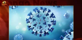 India Corona Updates Union Health Ministry Reports 782 New Infections and 8675 Active Cases in Last 24 Hrs,India Corona Updates,Union Health Ministry Reports 782 New Infections,8675 Active Cases in Last 24 Hrs,Corona New Infections,Mango News,Mango News Telugu,Corona, Corona Cases, Corona cases 2023, Corona cases in India today, Corona cases in india today live updates, Corona new updates in India, Corona updates in India 2023, Coronavirus Latest News, Coronavirus outbreak, Coronavirus Update in India