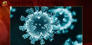 India Corona Updates Union Health Ministry Reports 899 New Infections and 10179 Active Cases in Last 24 Hrs,India Corona Updates,Union Health Ministry Reports 899 New Infections,Corona 899 New Infections,India 10179 Active Cases in Last 24 Hrs,Mango News,Mango News Telugu,MoHFW,Coronavirus Outbreak,India Fights Corona,Coronavirus cases in India,COVID-19 Current cases,Coronavirus Latest News,India Corona Latest News,India Corona Latest Updates,India Corona Live News