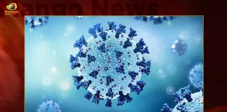 India Reports Less Than One Thousand Infections and 14493 Active Cases in Last 24 Hrs,Coronavirus,Covid-19 Updates,Corona Updates,India Reports 801 New Covid 19 Infections,Covid 19 Infections in Last 24 Hrs,Corona Active Cases Dip To 14493,Mango News,Mango News Telugu,Corona Updates India,Corona Updates,Covid-19 Latest News,Coronavirus Live Updates,Corona,India Covid-19,India COVID,Coronavirus Outbreak in India,India Coronavirus,COVID-19 in India,India Covid-19 Cases,India Coronavirus Cases,India Covid-19 New Cases,India Coronavirus New Cases
