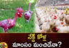 Genetic Chicken Creation Stirs A New Debate Across The World,Genetic Chicken Creation Stirs,A New Debate Across The World,Chicken Creation Stirs A New Debate,Mango News,Mango News Telugu,Naked chickens, Geneticist,Poultry Specialist,The Hebrew University of Jerusalem, Professor Avigdor Kahner, Unethical genetic modification, Broiler chicken,Applications of Gene Editing in Chickens,Genetically modified chickens,Genetic Chicken Creation Latest News,Genetic Chicken Creation,Genetic Chicken Creation Latest Updates,Genetic Chicken Latest News,Genetic Chicken Live Updates,Chicken Creation Stirs Debate News Today,Chicken Creation Stirs Debate Latest news,Chicken Creation Stirs Debate Latest Updates