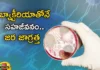 The bacteria present in these things in our house increases more during the rainy season,The bacteria present in these things,bacteria present in these things in our house,bacteria increases more during the rainy season,Bacteria present in the rainy season,Mango News,Mango News Telugu,Bacteria in the environment,bacteria in our house,bacteria present in our house,Bacteria during the rainy season,Bacteria in rainy season Latest News,Common Monsoon Diseases,Rainy season diseases,Bacteria in rainy season Latest Updates,Bacteria in rainy season Live Updates