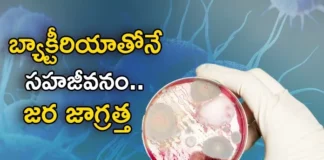 The bacteria present in these things in our house increases more during the rainy season,The bacteria present in these things,bacteria present in these things in our house,bacteria increases more during the rainy season,Bacteria present in the rainy season,Mango News,Mango News Telugu,Bacteria in the environment,bacteria in our house,bacteria present in our house,Bacteria during the rainy season,Bacteria in rainy season Latest News,Common Monsoon Diseases,Rainy season diseases,Bacteria in rainy season Latest Updates,Bacteria in rainy season Live Updates