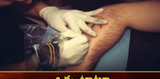 Austria,travel around the whole country, small tattoo on their back, railcard tattooed, Climate Ticket, Rs. 89 thousand, Austrian Minister Leonor Gevesler