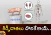 Human Pig Kidney Experiment,Human Kidney Experiment Success,Human Pig Kidney Experiment Success,Mango News,Mango News Telugu,Kidney Experiment,Kidney Bean Experiment,Pig Kidney Works,Pig Kidney Transplant Experiment,Us Surgeons Transplant Pig Kidney,Pig Kidneys Transplanted,Pig Kidney Xenotransplantation,Pig Kidney In A Human Body,Pig Kidney Transplant 2023,Pig Kidney Transplant Update,Pig Kidney Transplant Latest News