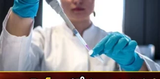 Israeli Scientists Create Model of Human Embryo Without Sperm or Eggs,Israeli Scientists Create Model,Model of Human Embryo,Human Embryo Without Sperm or Eggs,Israeli Scientists,Mango News,Mango News Telugu,A stem cell, an embryo, Israeli scientists, created an embryo, without sperm, egg, sperm, woman's womb, laboratory Mr,Israeli Scientists Latest News,Israeli Scientists Latest Updates,Israeli Scientists Live News,Israeli Scientists Live Updates
