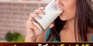 Drinking Two Sips Of Elephant Milk Is More Intoxicating Than Alcohol,Drinking Two Sips Of Elephant Milk,More Intoxicating Than Alcohol,Elephant Milk Is More Intoxicating,Mango News,Mango News Telugu,Drinking That Milk, Powerful Kick,Elephant Milk, Alcohol, Elephant Milk Intoxicating Than Alcohol,Elephant Milk Latest News,Elephant Milk Latest Updates,Elephant Milk Live News