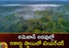 Record Temperature In Amazon Forests,Record Temperature,Temperature In Amazon Forests,Amazon Forests Record,Mango Newws,Mango News Telugu,Record Temperature In Amazon Forests, Temperatures, Dolphins Dying,Amazon Forests,Highest Temperature Ever In The Amazon,Amazon Rainforest,The Most Extreme Heat Waves,Over 100 Dolphins Dead In Amazon,Record Heat And Drought,Amazon Forests Latest News,Amazon Forests Latest Updates,Amazon Forests Live News
