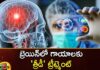 3D treatment for brain injuries,3D treatment for brain,brain injuries,treatment for brain,Mango News,Mango News Telugu,3D treatment,3D treatment for brain,brain injuries,brain, brain treatment, Cerebral cortex, Outer layer of the brain, TBI, tissue,3D treatment for brain Latest News,3D treatment for brain Latest Updates,3D treatment for brain Live News,brain treatment Latest Update
