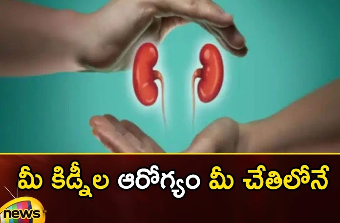 Do these things to keep the kidneys healthy. Do these things to keep the kidneys healthy,keep the kidneys healthy,Do these things to kidneys,Mango News,Mango News Telugu,Ayurveda Tips for Kidney ,kidneys healthy,kidneys,Kidneys act as filters, body,Preventing Chronic Kidney Disease,Kidneys remove harmful substances, urine,Ayurveda Tips for Kidney Latest News,Ayurveda Tips for Kidney Latest Update,kidneys health Latest News,kidneys health Latest Updates,Ayurveda Tips Latest News