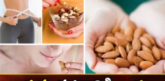 How to lose weight by eating almonds,How to lose weight,lose weight by eating almonds,Mango News,Mango News Telugu,Benefits of Almonds,Eating Almond Reduces Weight,Almonds for weight loss,eating almonds,Almonds,Benefits of Almonds News Today,Benefits of Almonds Latest News,Benefits of Almonds Latest Updates,Benefits of Almonds Live News