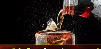 Researchers want women to stay away from soft drinks,Researchers want women to stay away,women to stay away from soft drinks,Mango News,Mango News Telugu,cool drinks dangerous to health , Researchers, women stay away from soft drinks,cool drinks,soft drinks, women health,soft drinks Latest News,Researchers on soft drinks News Today,Researchers Latest News,Researchers Latest Updates