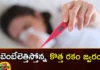 If these symptoms appear during the fever treatment should be taken immediately,If these symptoms appear during the fever,treatment should be taken immediately,symptoms appear during the fever,Mango News,Mango News Telugu,High Temperature Causes and Treatments,dengue, fever, immediately treatment, Malaria, new type of fever, seasonal fevers, Symptoms, treatment,New type of fever Latest News,seasonal fevers Latest News