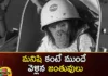 Do You Know Which Creatures Have Gone Into Space So Far,Animals In Space,10 Animals That Have Been To Space,List Of Animals That Have Been To Space,Mango News,Mango News Telugu,First Animal In Space,First Cat In Space,First Dog In Space,Space Exploration,Animals Still Being Sent Into Space,Ants, Cats, Frogs, Jellyfish,Fruit Flies,First Animal In Space