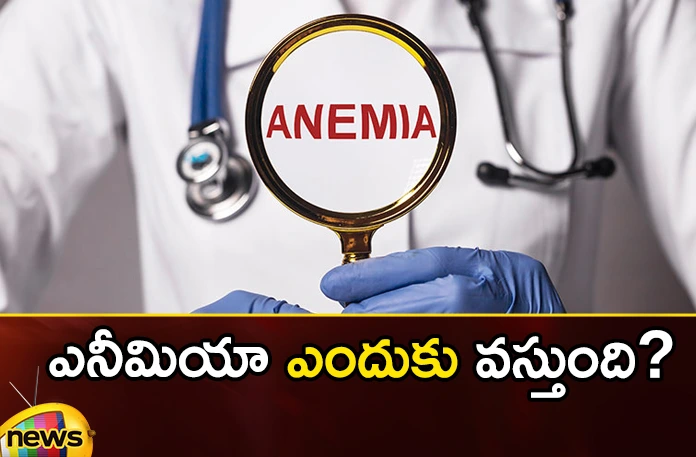 hese are the symptoms seen in people suffering from anemia,These are the symptoms seen in people,symptoms seen in people suffering from anemia,people suffering from anemia,Mango News,Mango News Telugu,Anemia, Anemia symptoms, suffering from anemia, Why does anemia occur,suffering from anemia Latest News,suffering from anemia Latest Updates,suffering from anemia Live News,Anemia symptoms Latest News,Anemia symptoms Latest Updates