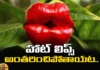 Hot Lips Will Disappear, Hot Lips Disappear, Hookers Lips Plant,Hot Lips will Disappear, That Rare Hookers Lips Plant, Hookers Lips Plant In Danger, Interesting Facts Hookers Lips, Latest Hookers Lips News, Hookers Lips News Update, Hookers Lips USA, Hookers Lips Facts, Worls Interesting Plants, Mango News, Mango News
