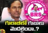 Has the Rose Buds Started,Rose Buds Started,BRS, KCR, KTR, Telangana Politics,Mango News,Mango News Telugu,Rose Buds Started,BRS Party, Telangana Latest News And Updates, Telangana Political News And Updates,Hyderabad News,BRS Latest News,BRS Latest Updates,KCR Latest News,KCR Latest Updates,Revanth Reddy,Telangana government Latest News,Telangana government Latest Updates,Telangana Latest News And Updates