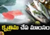 Artificial fish, Artificial fish meat, country, CMFRI, The first project in the country, fish meat,Fish meat production, ICAR-CMFRI, seafood, Cultivated meat, Artificial Meat, Latest Technology Updates, Nation's First 'Lab, Mango News Telugu, Mango News
