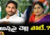 Sharmila Contest from Pulivendula, Sharmila from Pulivendula, Pulivendula Sharmila, Pulivendula, YS Sharmila, YS Jagan, AP Elections, Congress, Latest Sharmila Polictical News, Sharmila Polictical News Updates, Andra Pradesh, AP Polictical News, Assembly Elections, Mango News, Mango News Telugu