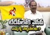 MLA Parthasarathi, YCP, TDP, Chandrababu naidu, Jagan, AP Politics