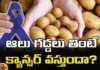 Eating potatoes cause cancer?, Potatoes are bad for health, Potatoes,cancer, pancreatic cancer, Side Effects and More!, World Health Organization, health tips, healthy food, junkfood, over heated, fried food, Acrylamide, Mango News Telugu, Mango News