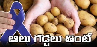 Eating potatoes cause cancer?, Potatoes are bad for health, Potatoes,cancer, pancreatic cancer, Side Effects and More!, World Health Organization, health tips, healthy food, junkfood, over heated, fried food, Acrylamide, Mango News Telugu, Mango News